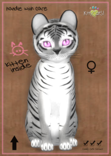 9T Tiger! Shadow - Gerbera Pink