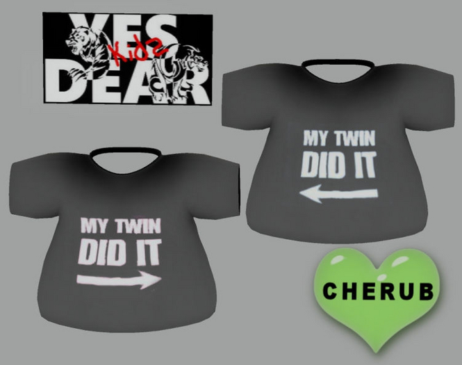 Yes Dear kids Twin did it T