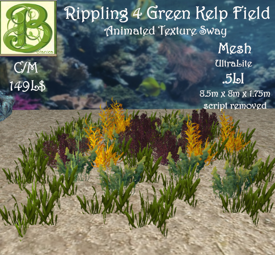 Rippling 4 Varied Kelp Field 