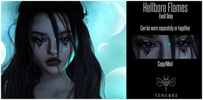 ..TENEBRE.. - Hellbore Flames