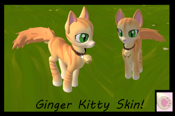 [OP] Ginger Tabby Coat