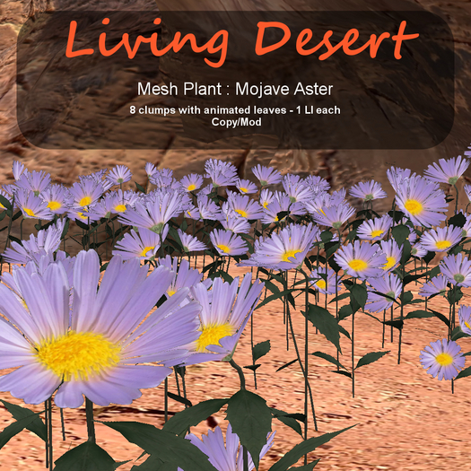 Inochi Botanicals - Mesh Plant "Mojave Aster"