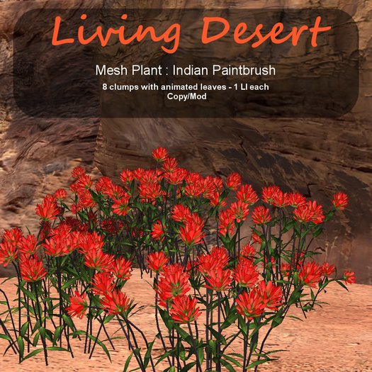 Inochi Botanicals - Mesh Plant "Indian Paintbrush"
