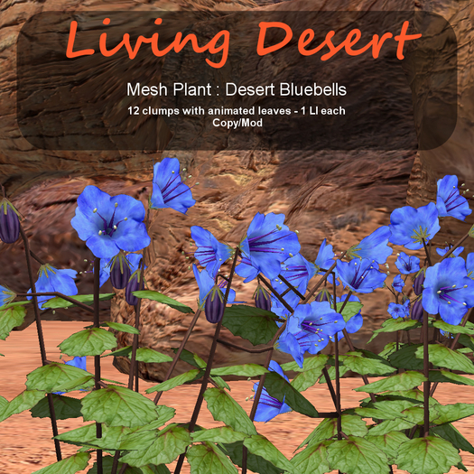 Inochi Botanicals - Mesh Plant "Desert Bluebells"