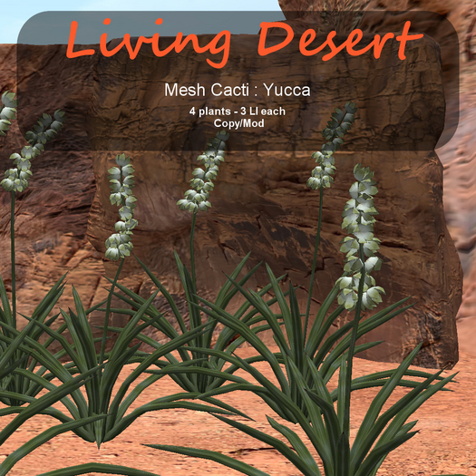 Inochi Botanicals - Mesh Cactus "Yucca"