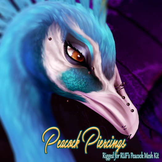 [RUF] Peacock Piercings
