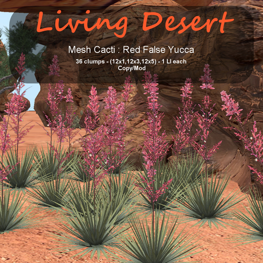 Inochi Botanicals - Mesh Cactus "Red False Yucca"