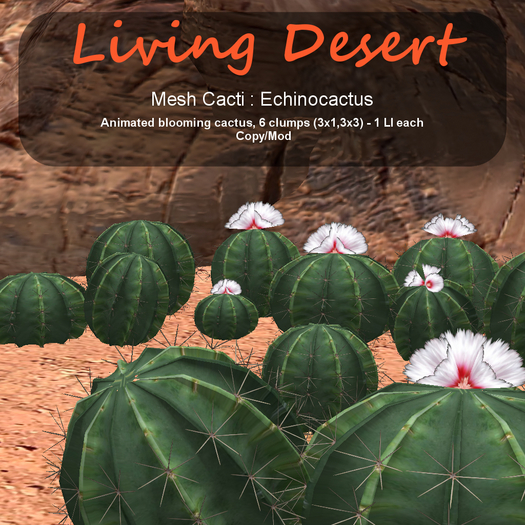 Inochi Botanicals - Mesh Cactus "Echinocactus"