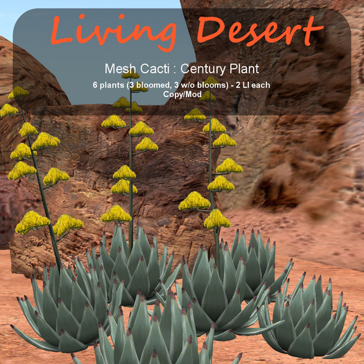 Inochi Botanicals - Mesh Cactus "Century Plant"