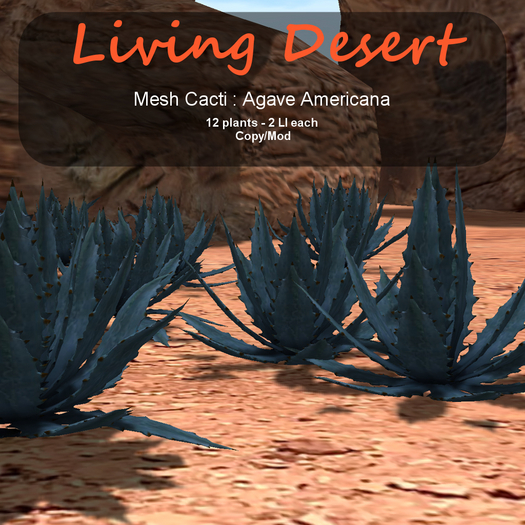 Inochi Botanicals - Mesh Cactus "Agave Americana"