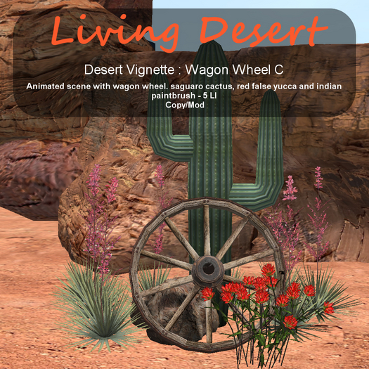 Inochi Botanicals - Wagon Wheel C