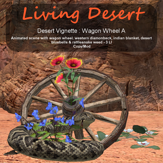 Inochi Botanicals - Wagon Wheel A