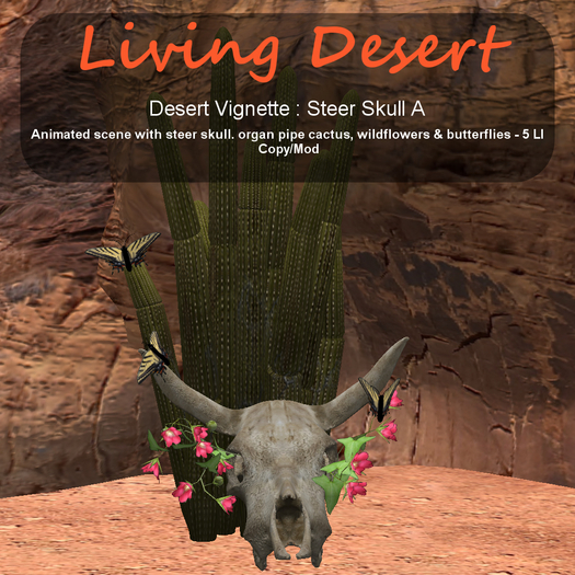 Inochi Botanicals - Steer Skull A