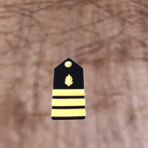 US Navy Medical Officer-CDR (O5)