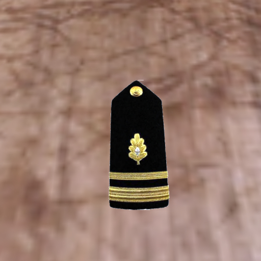 US Navy Medical Officer-LTJG (O2)