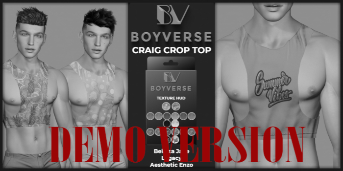 Boyverse: Craig Crop Top DEMO