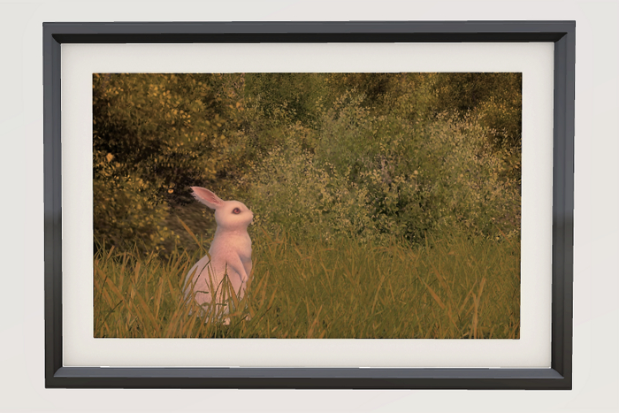 Art - The Rabbit - PurpleMia