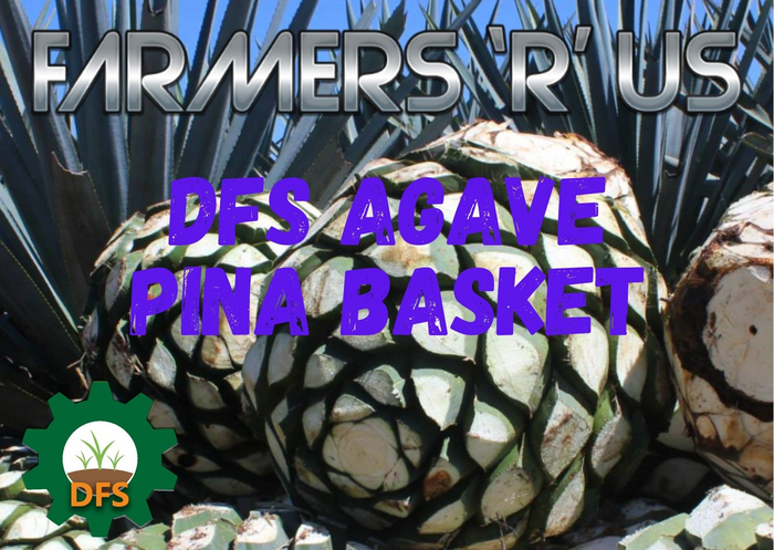 DFS Agave Pina Basket