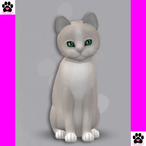 KittyCats Box 137 - Female 5T - Genesis Pearl II