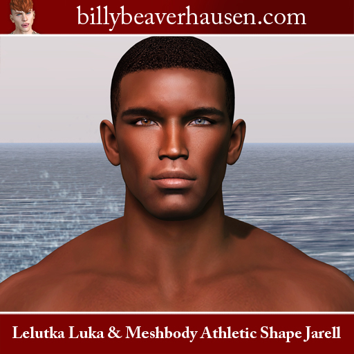 Lelutka Luka & Athletic Meshbody Shape Jarell