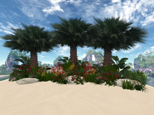 ** LOW PRIM COLLECTION**  RW - Tropical Palms rock garden orange yellow *Zapara* c/m