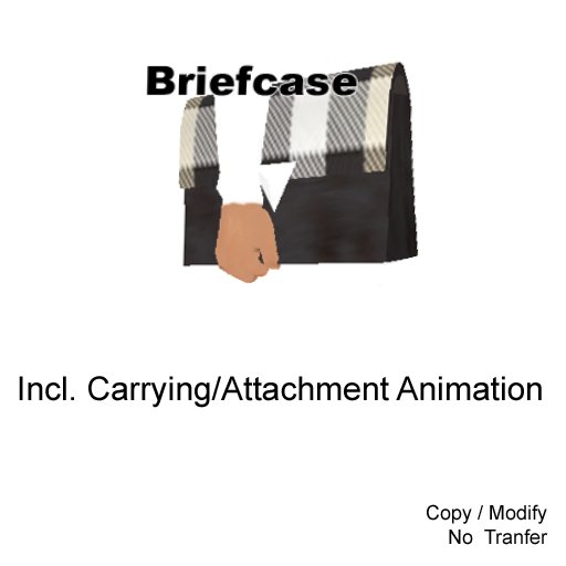 Briefcase