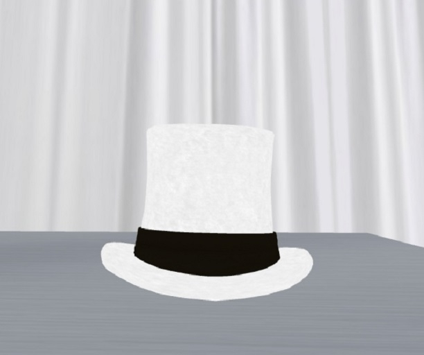 White & Black Top Hat