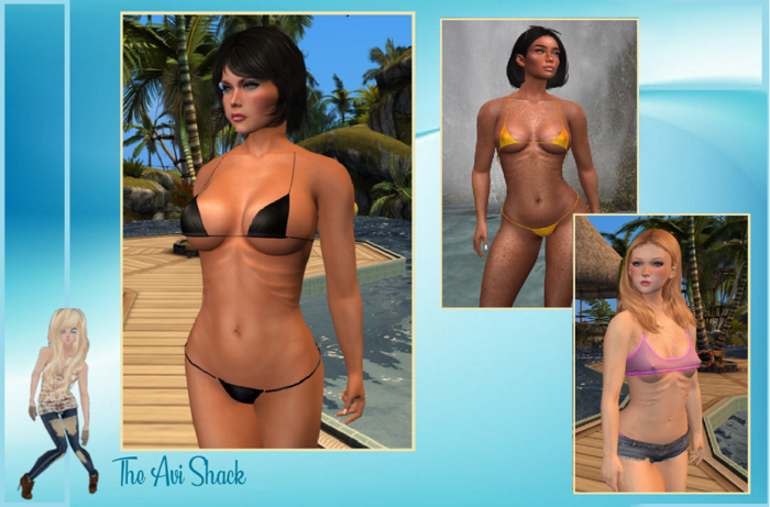 MAITREYA RIBS DEMO HUD