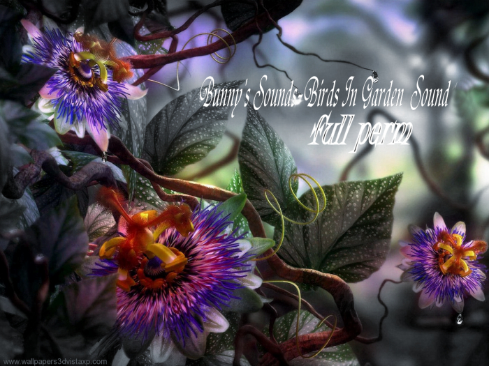 Bunny's sounds -birds in garden -sounds full perm