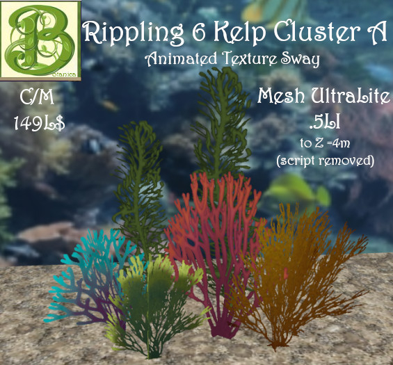 Rippling 6 Kelp Cluster A 