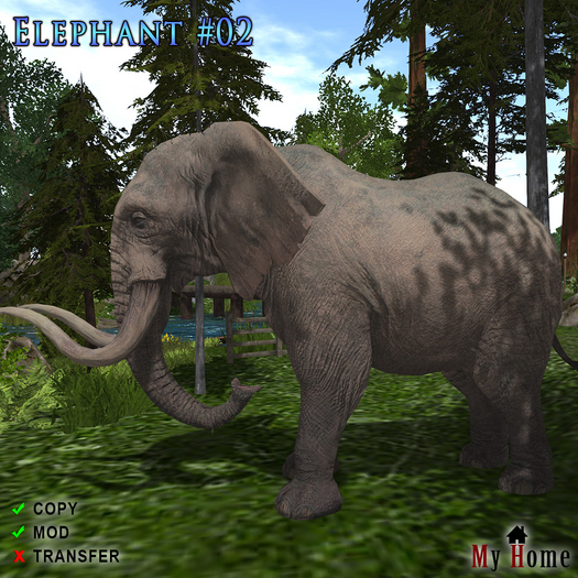 [My Home] Elephant #02