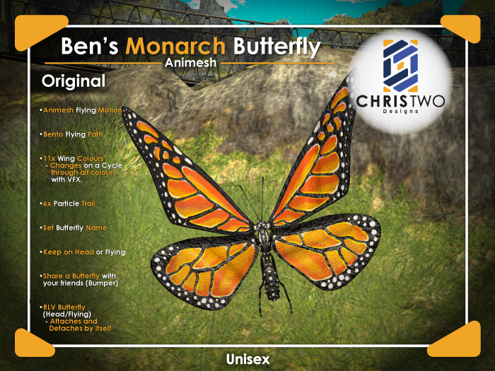 B's Monarch Butterfly - Original - [Chris Two Designs]