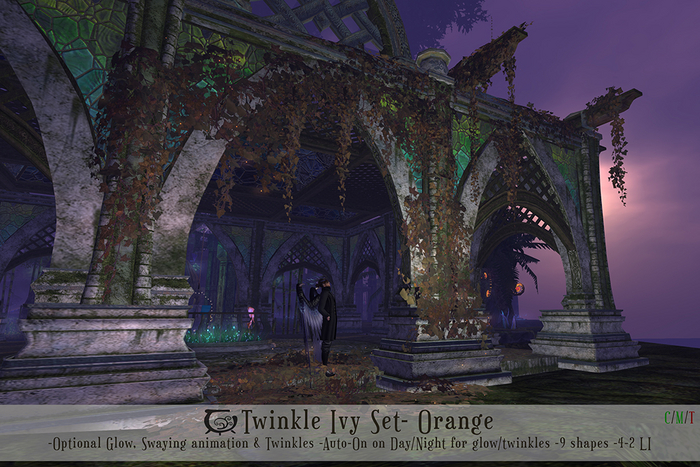 [CC] Twinkle Ivy- Orange