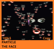 PARTICLE THE FACE