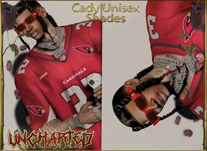 Uncharted "cady" shades unisex
