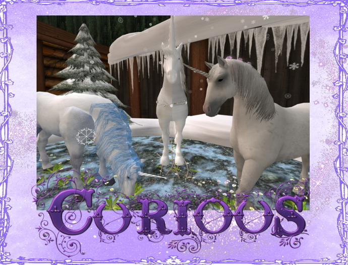 A Blessing of Unicorn - Group of 3 Unicorns