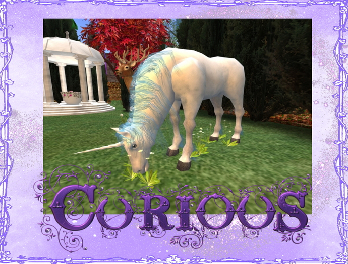 Grazing Unicorn