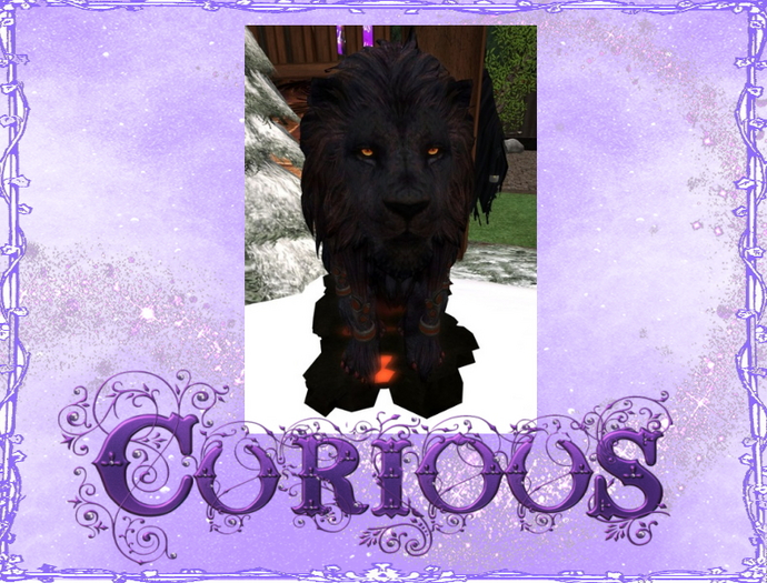 2017 Curious Ignis (fire)King Lion MP
