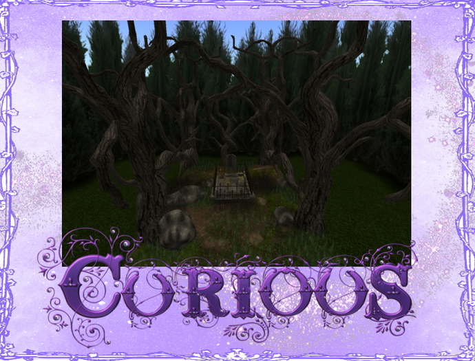 Grave in woods with fog