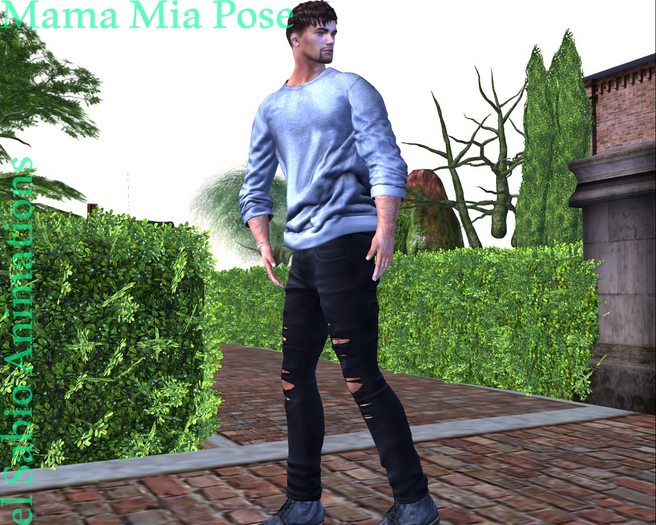 Mama Mia Pose Package
