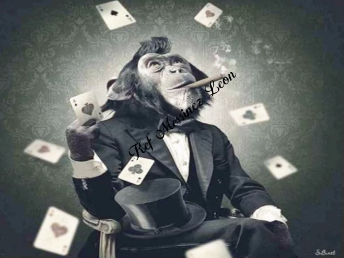 Card Monkey