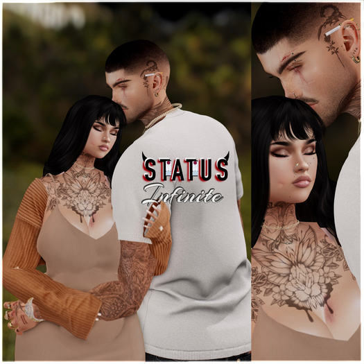 STATUS ~ Infinite