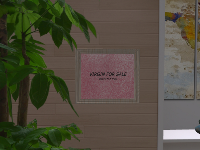 Virgin For Sale