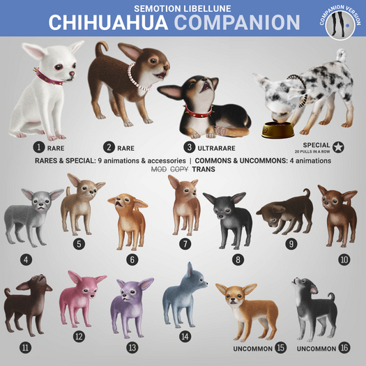 1. SEmotion Libellune Chichuachua Holdable RARE