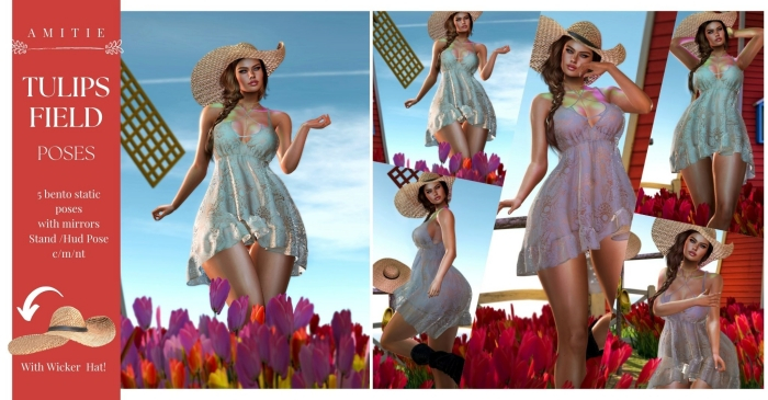 Amitie Tulips Field POSES 