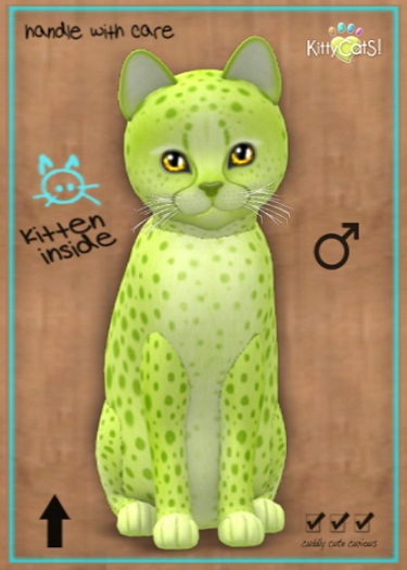 MEGAPUSS: KittyCatS Box - Cheetah! - Lime No. 2 - MegaPuss