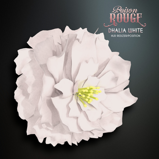 POISON ROUGE Dhalia White
