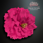 POISON ROUGE Dhalia Fuchsia