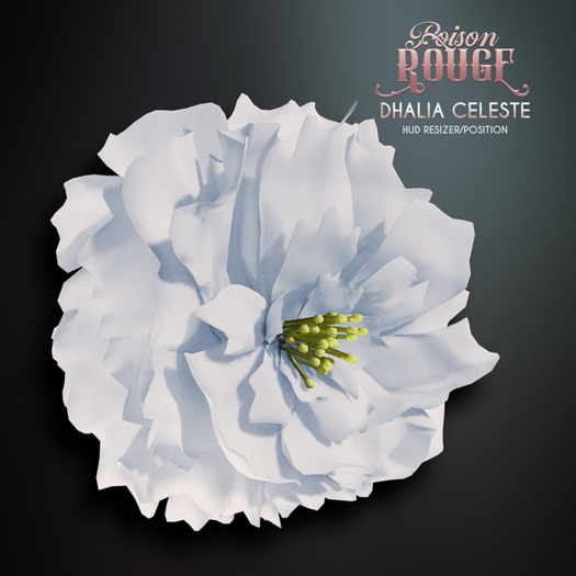 POISON ROUGE Dhalia Celeste