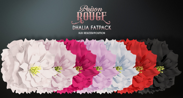POISON ROUGE Dhalia FATPACK 